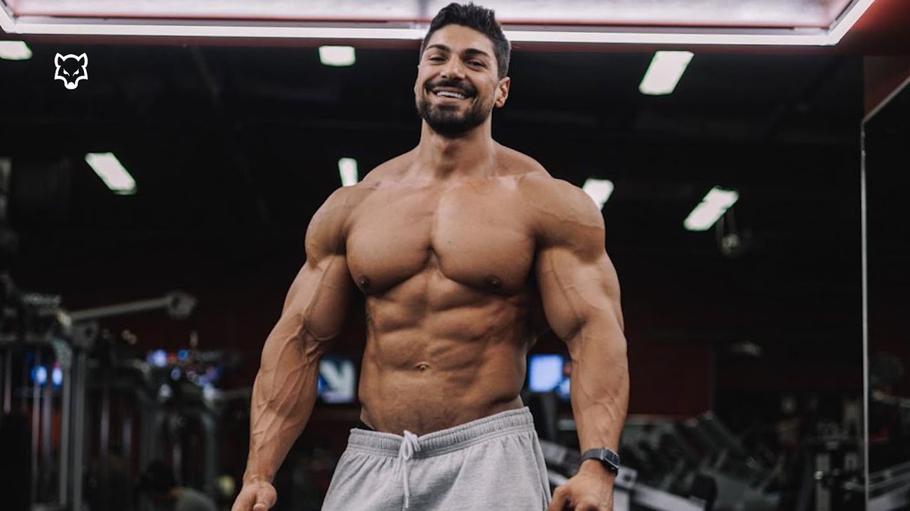 BAD WOLF 🐺 - Andrei Deiu