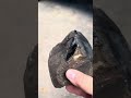 Obsidian Surpise