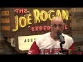 Joe Rogan - Elon Musk on Artificial Intelligence Mp3 Song