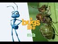 A bugs life in real life  all characters 2018  omg kids