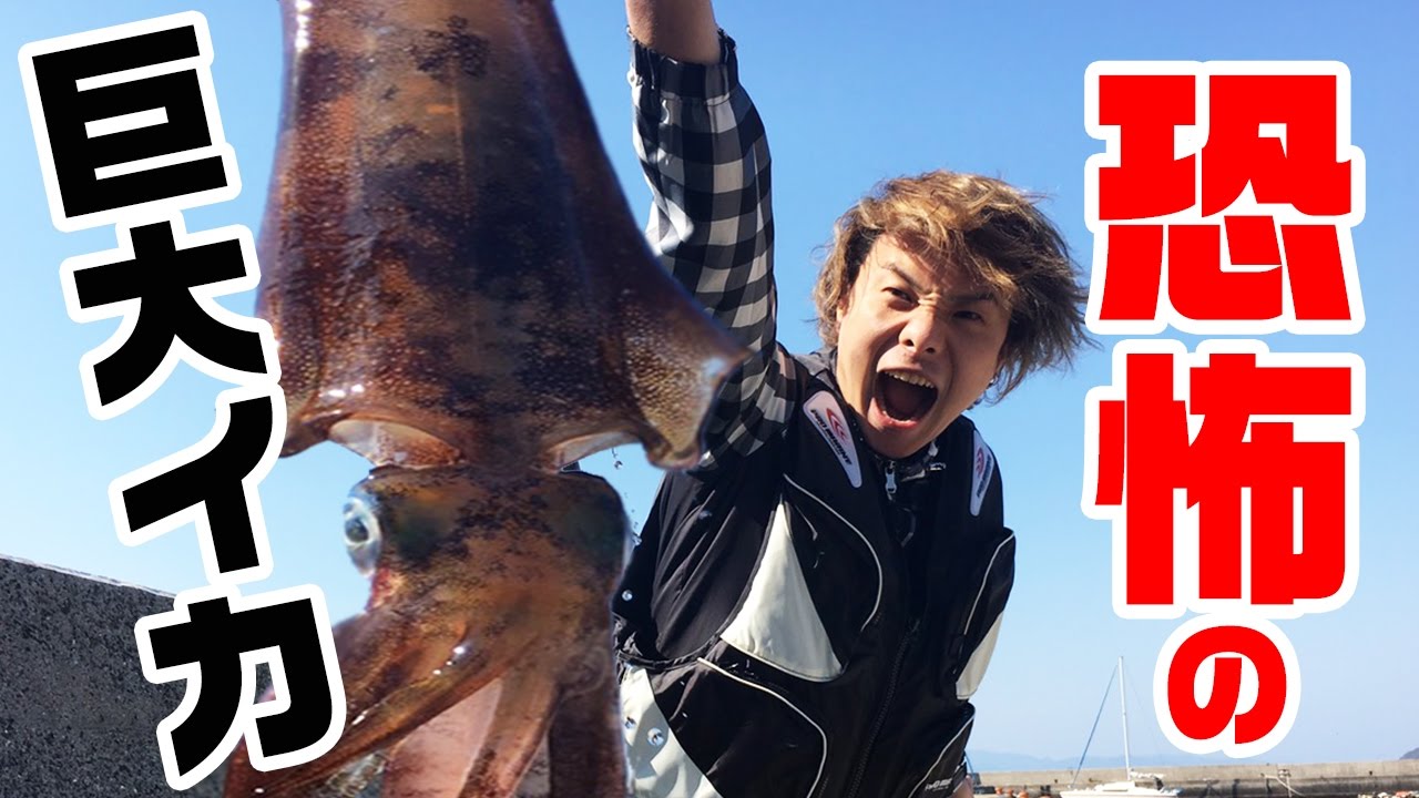 捌き方や料理を学ぶならこれを見よ 嫁 釣り動画の魅力を語る 拝啓 覆面のパンダ夫婦です