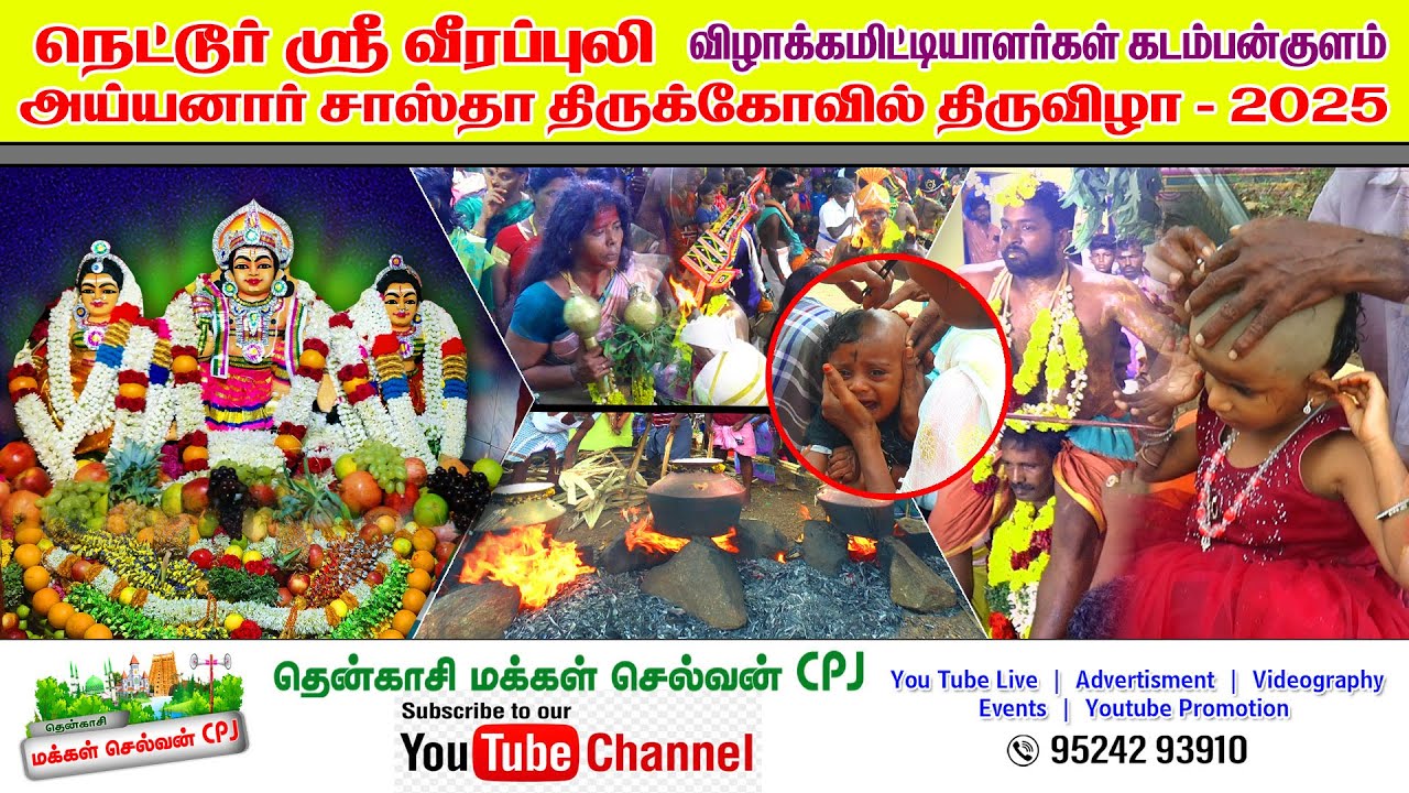 ஆலங்குளம் நெட்டூர் வீரப்புலி அய்யனார் மாபெரும் கொடை விழா பாகம் -8