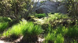 How to apply topological fixing of legacy code? screenshot 4