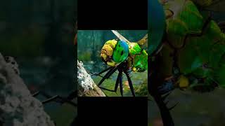 А ты знал об этом периоде Пангея #пангея#земля#насекомые#жержүзілікжұмыскерлер#философия