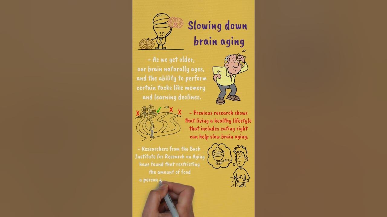 could-cutting-calories-help-slow-brain-aging-attractivepersonality