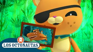Los Octonautas - El Bosque De Algas Marinas Gigante Episodios Completos