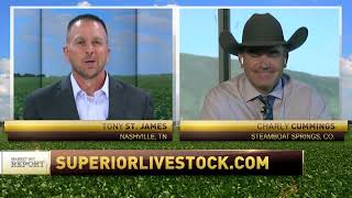 RFD-TV Cattle Market Report | Superior Selling 240,000 + hd