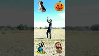 Pumpkin vs Cat,monkey,dog - funny vfx magic video viralvideo trendingshorts magic