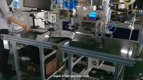 Real time label printer top flat stamping labeling machine automatic labeling line