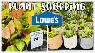 Plant Shopping at Lowe's Big Box Store in Pembroke Pines, Florida