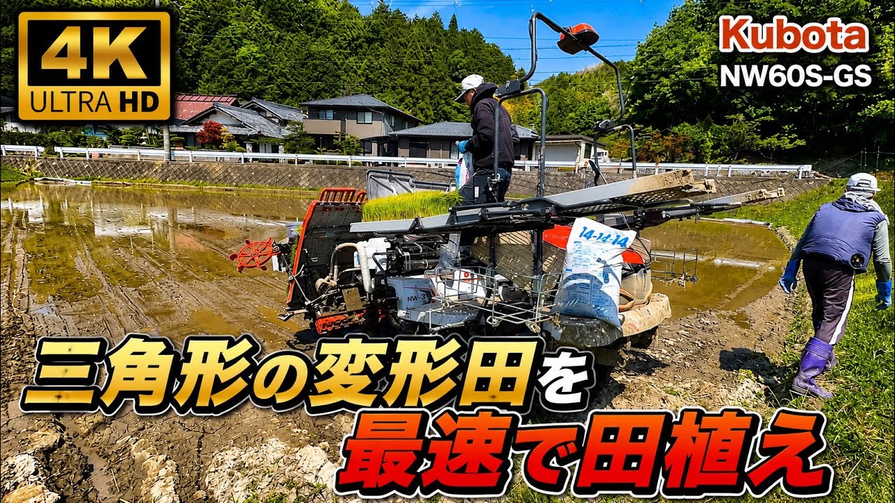 Kubota NW60S GS 田植え機 田植え作業#farming #現代農業 #automobile