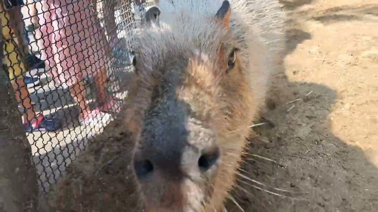 Bangkok safari world 