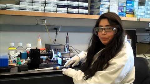 Cell Spheroid Testing at Georgia Tech