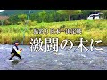 鮎釣り 報知アユ釣り名人戦【京都上桂川】