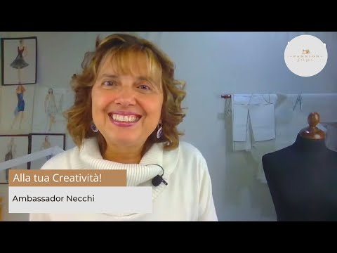 Ambassador Necchi