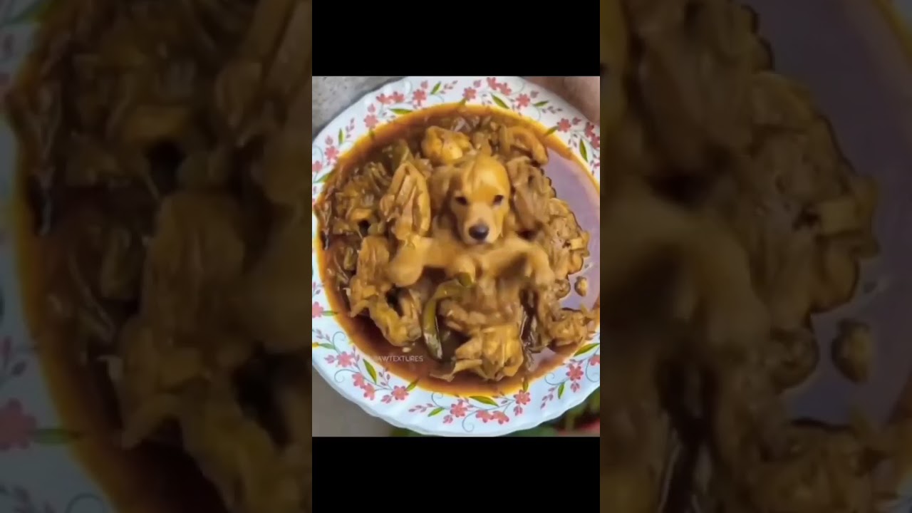 BEWARE OF MEAT !!! # #husband #comedy #dog #terrifyingtales #meatlovers #meatlover #dogvideos #shock