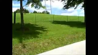 1 Rosedale Rd UPPR CRANEY, Morehead, KY 40351