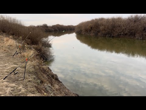 Nura River Closing The Season With Zander Off Season Fishing With Floaters And Bottom Fishing R