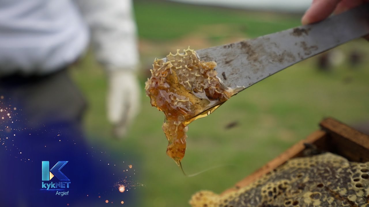 Kwêla - Jaco Wolfaardt