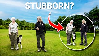 How to Train Your Stubborn Dog to Sit on Command EVERYTIME!