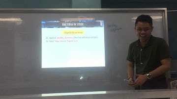 MT Pre-Recorded Lectures | MT 37: Stool Culture (Part 2)