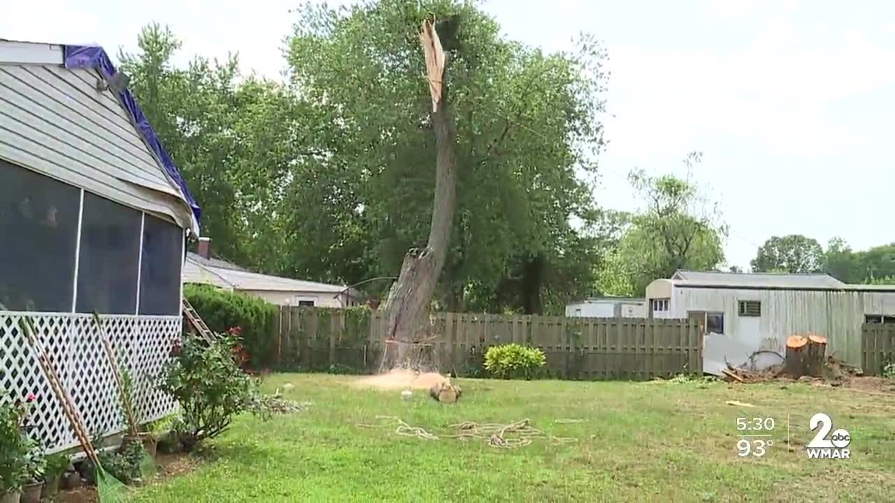 19 people injured after a tree falls on a garage in Pasadena - YouTube