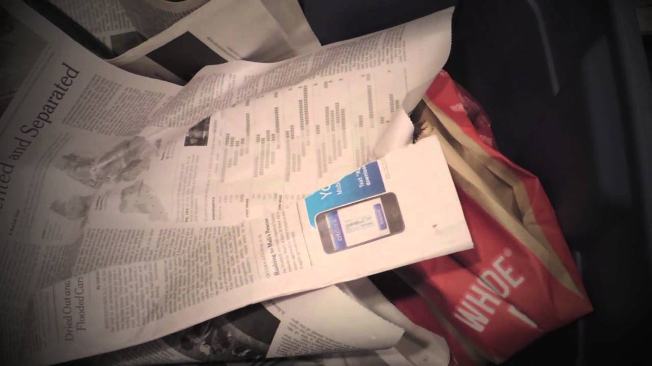 lily's recycling project YouTube