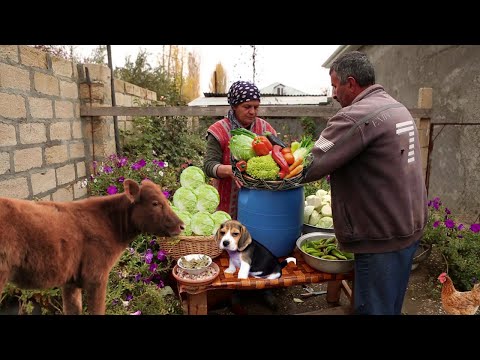 Video: Turşu Ilə Yaşıl Kələm şorbası