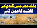 Wheat Sowing Season in Pakistan | Rising Costs &amp; Climate Impact Farmers - Aaj Pakistan News