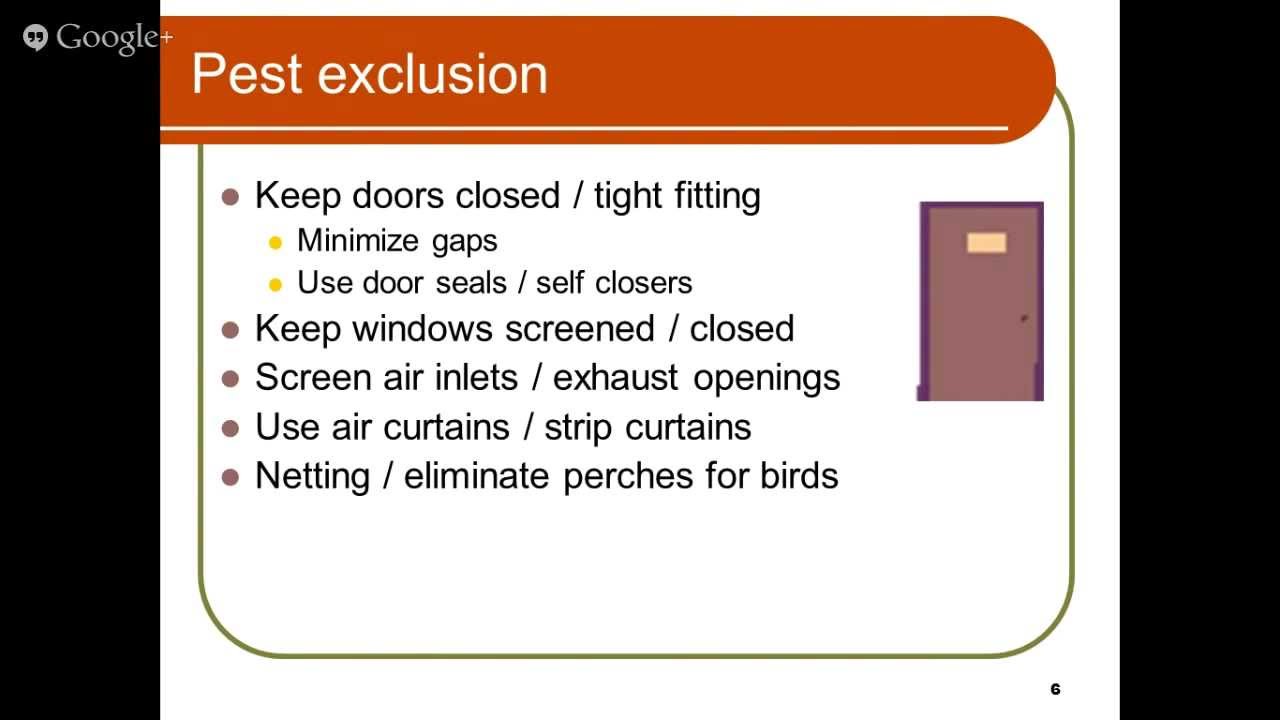 Pest Control Sacramento - 24 Hour Emergency Exterminator