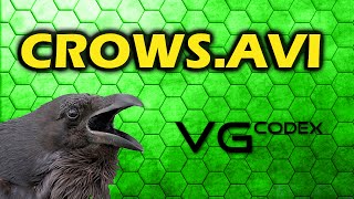 Crows.avi