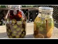【梅酒】・【ブランデー梅酒】・【スパイス梅酒】二種類の梅酒作りの様子です