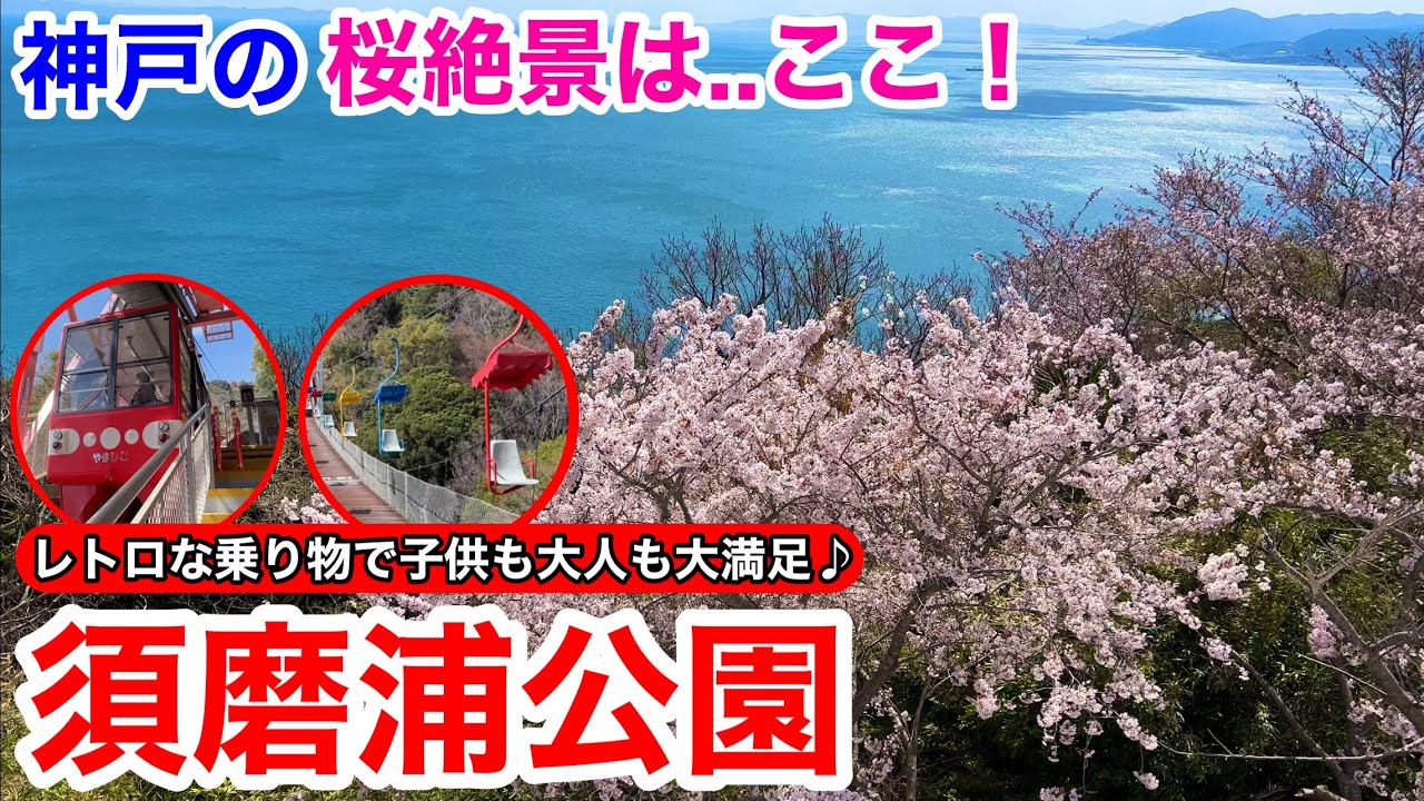 【神戸観光】絶景！海と桜のコラボレーション 須磨浦公園を堪能♪
