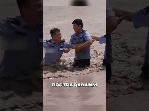Казахи полицейские СПАСЛИ пастуха с овцами😍🔥👏
