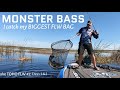 GIANT BASS on TOHO - FLW Tour #2