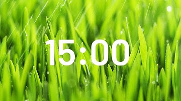 15 Minute Relaxing Rain Sound Timer 🌧️