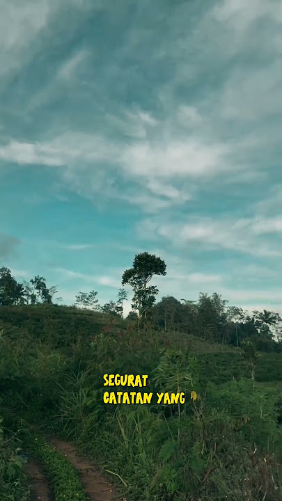 • Perempuan Malam • #shortsvideo #liriklagu #beranda #storywa #music #oi #iwanfals