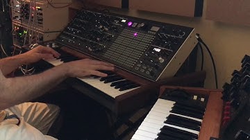 Dark side of Arturia MatrixBrute mostly custom patches