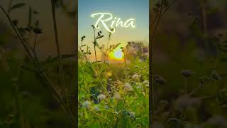- Rina Name Status