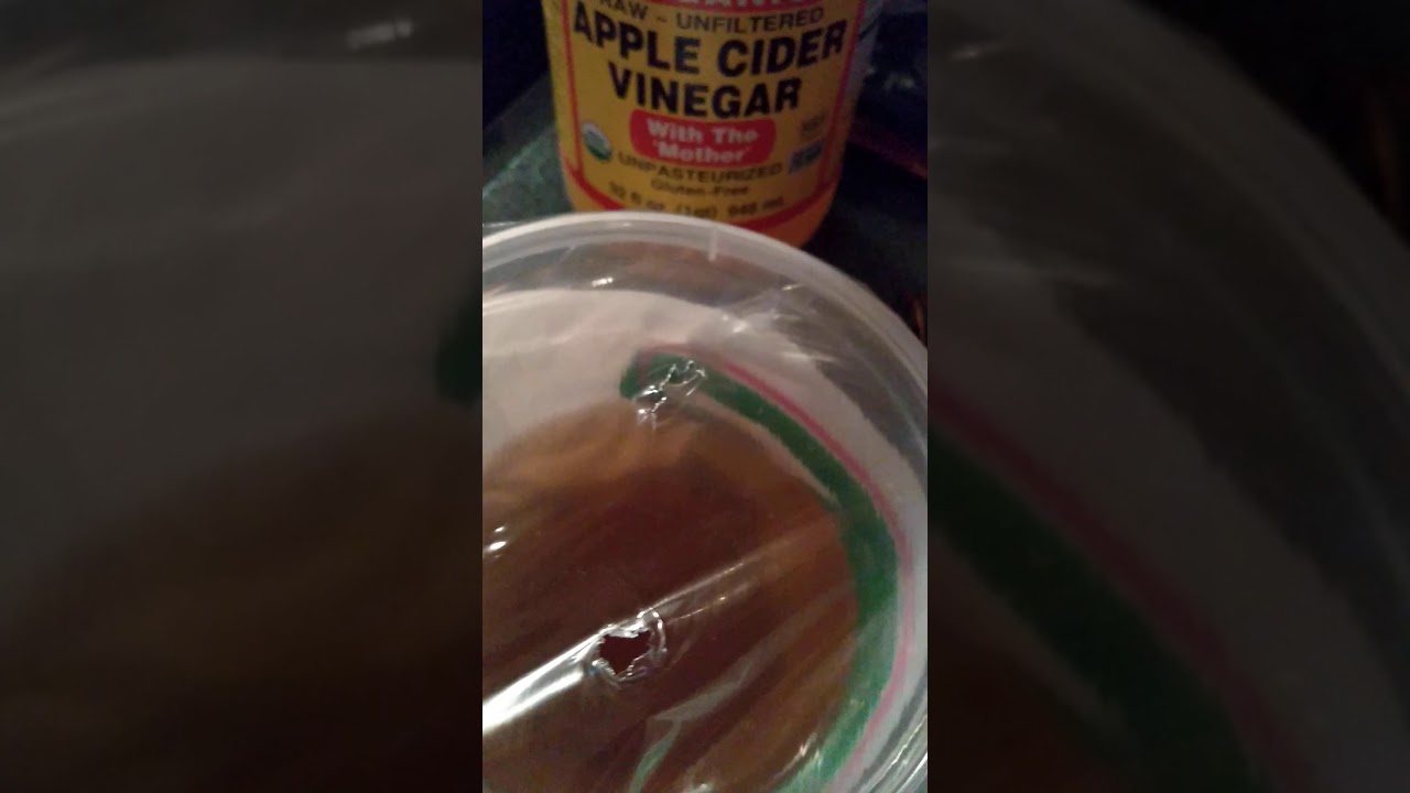 Get rid of fruit flies or gnats - YouTube