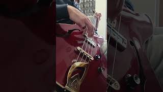Lynyrd Skynyrd Workin For MCA #lynyrdskynyrd #rockmusic #guild #americanmusic #countrymusic #bassist