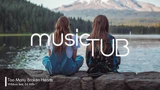 Too Many Broken Hearts - Wildson feat. Ed Mills [Soul Music]