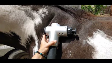 Can you use a human massage gun on a horse?