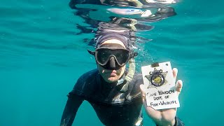 California Spiny Lobster Fishing in Catalina