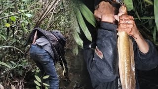 Download Lagu Najur in the Wilderness Swamp… Accidentally Discovers a Monster's Lair! 😱 MP3