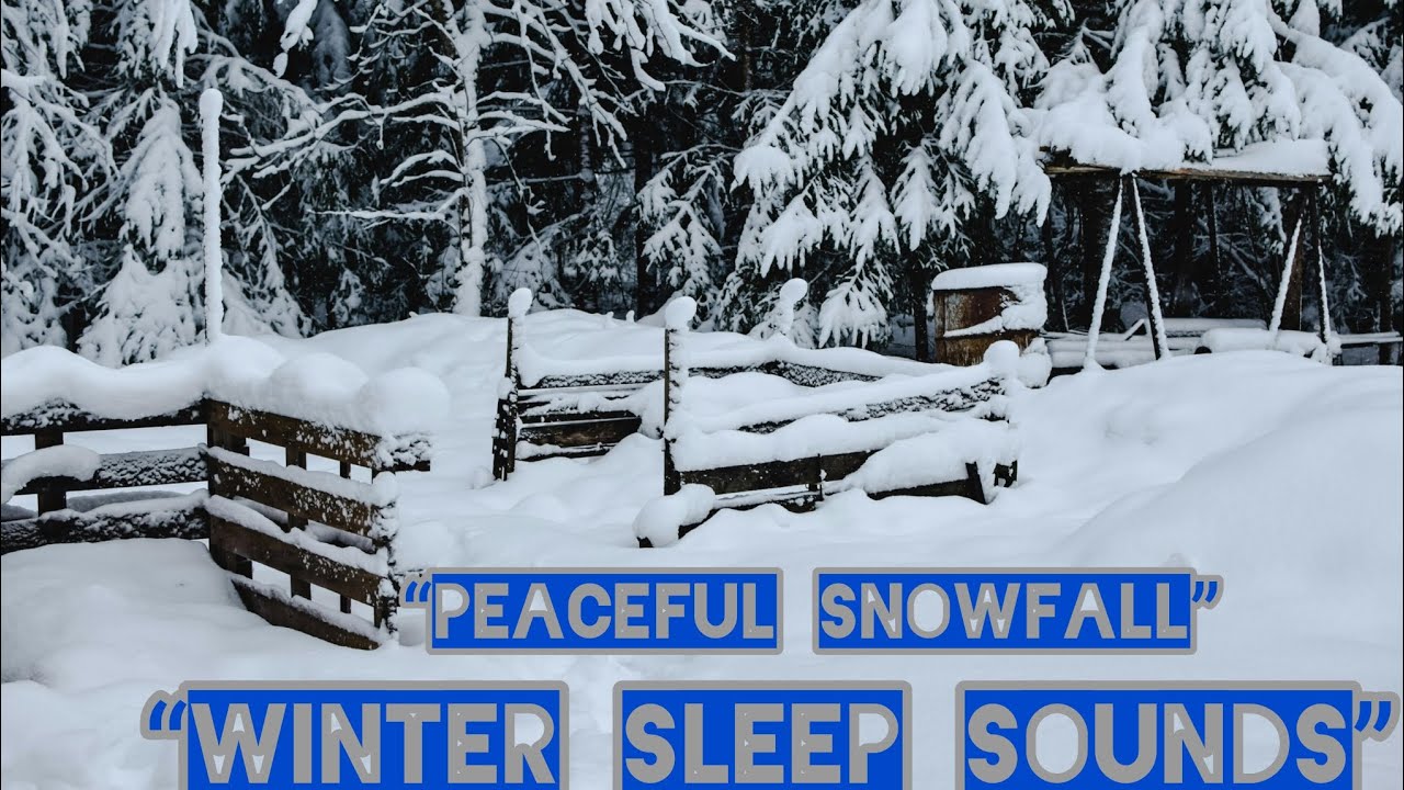 Peaceful Snowfall ❄️ Calm Winter Ambience for Deep Sleep, Relaxation & Stress Relief