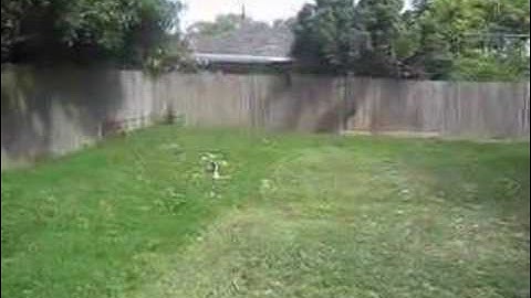 mini titan first hover