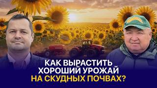 Как выращивают подсолнечник в сухостепной зоне Казахстана?