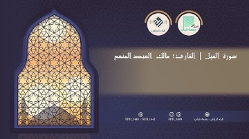 سورة الفيل | القارئ: مالك العبدالمنعم