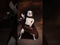 This Dog Can Dance Better Than You 😱🐕 #Shorts